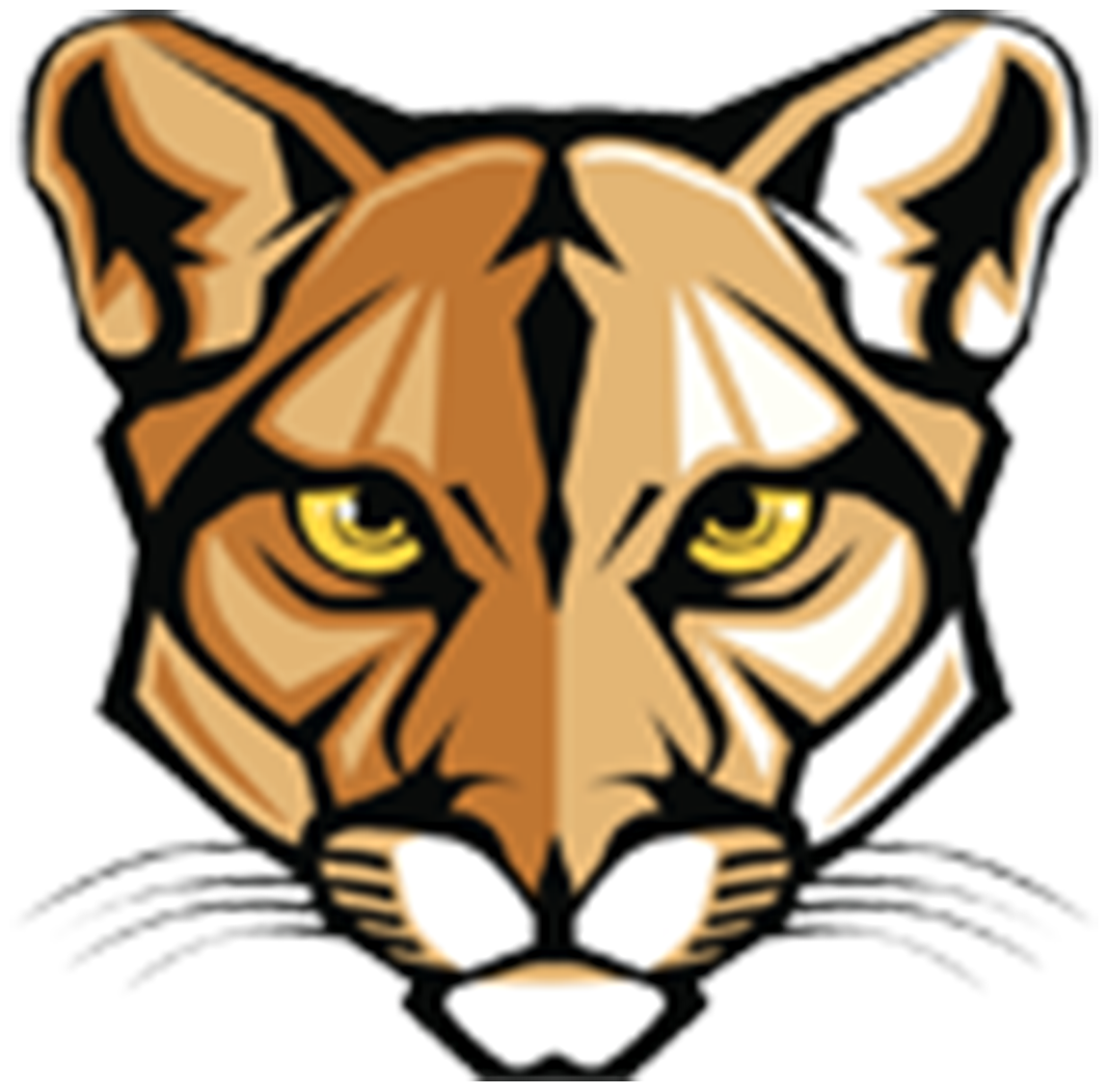 Cork Elementary School logo